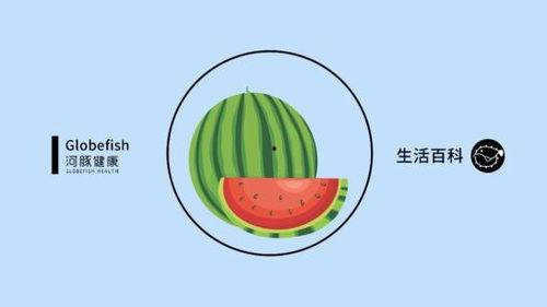 适合娱乐吃瓜的bgm 第3张 适合娱乐吃瓜的bgm 第3张